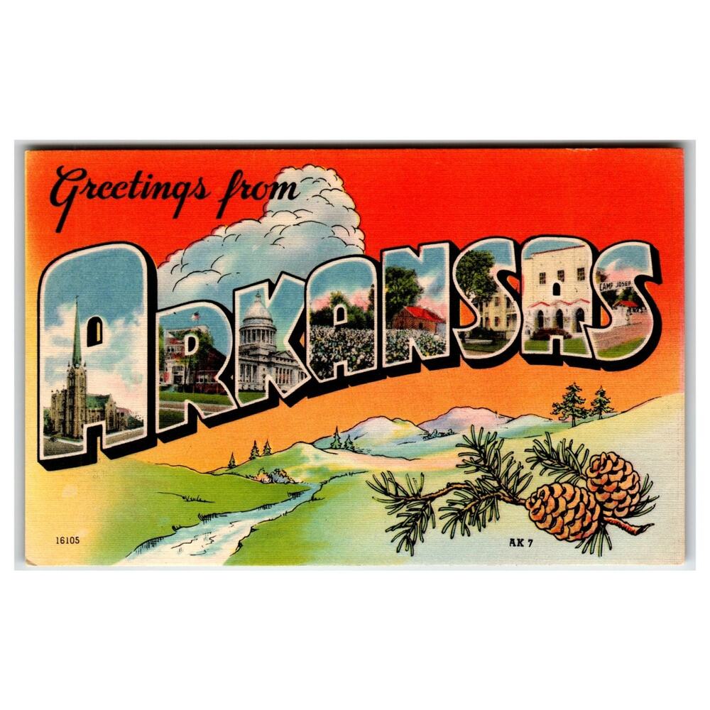Greetings from Arkansas Large Letter Vintage Postcard Pine Cones